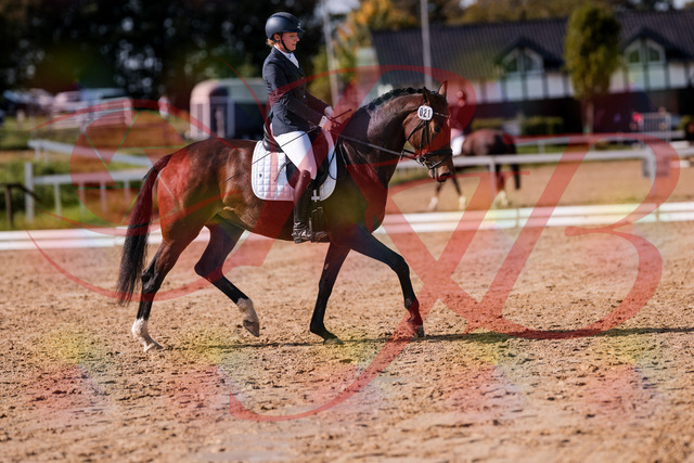 2026_10_03_Siefer-Hof_125750_Z81_46846825 | Professionelle Reitsport-, Turnier- und Eventfotografie von Robert Broda. Galerien mit ausgewählten und bearbeiteten Bildern direkt online ansehen und bestellen.