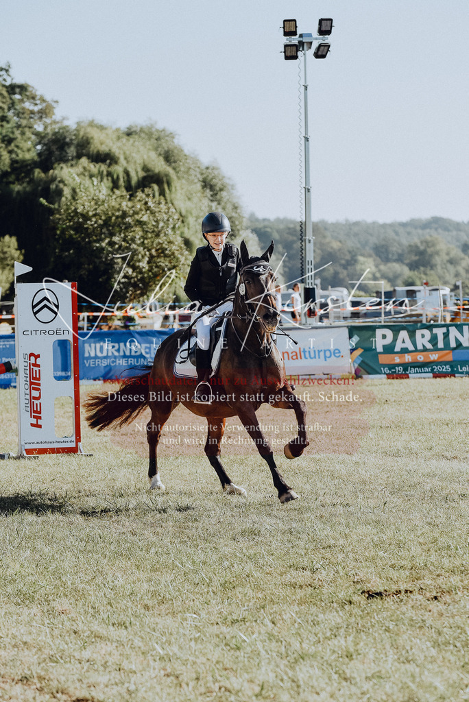 DSC_5563 | Pferde- und Turnierfotografie in Westsachsen. Pferdeportraits, Auftragszeichnungen und intuitive Kunst.