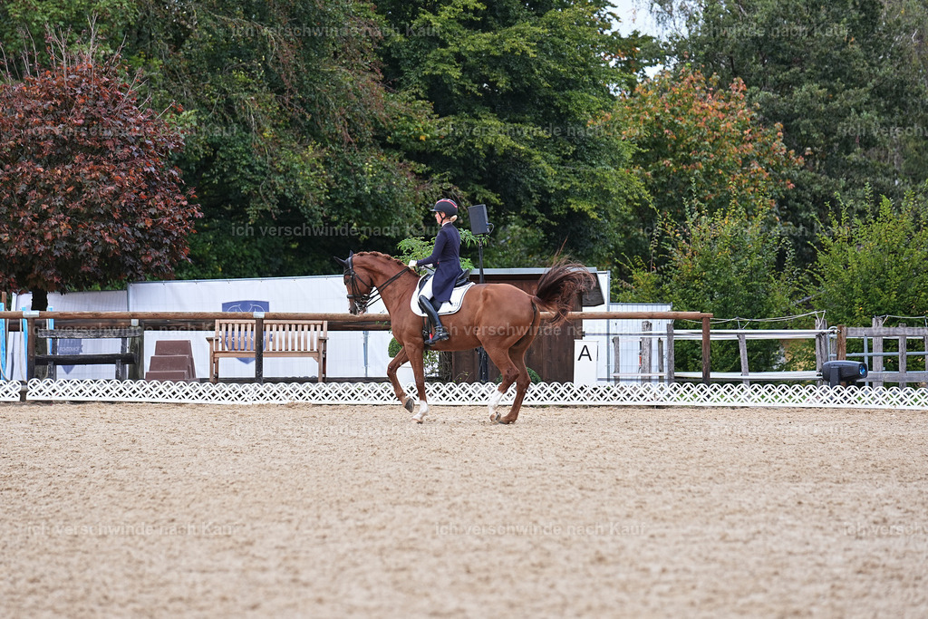 12-238-DRESSUR  S___  -Marixx-5213 | working equitationturnier fotograf videograf stoibphotography marixx film working equitation deutschland reitsport turnierfotografie eventfotografie equestrian events