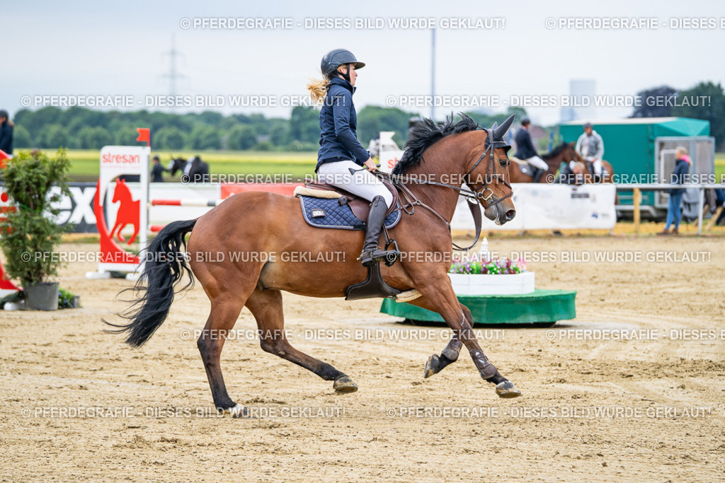 DSC04784 | Pferdegrafie