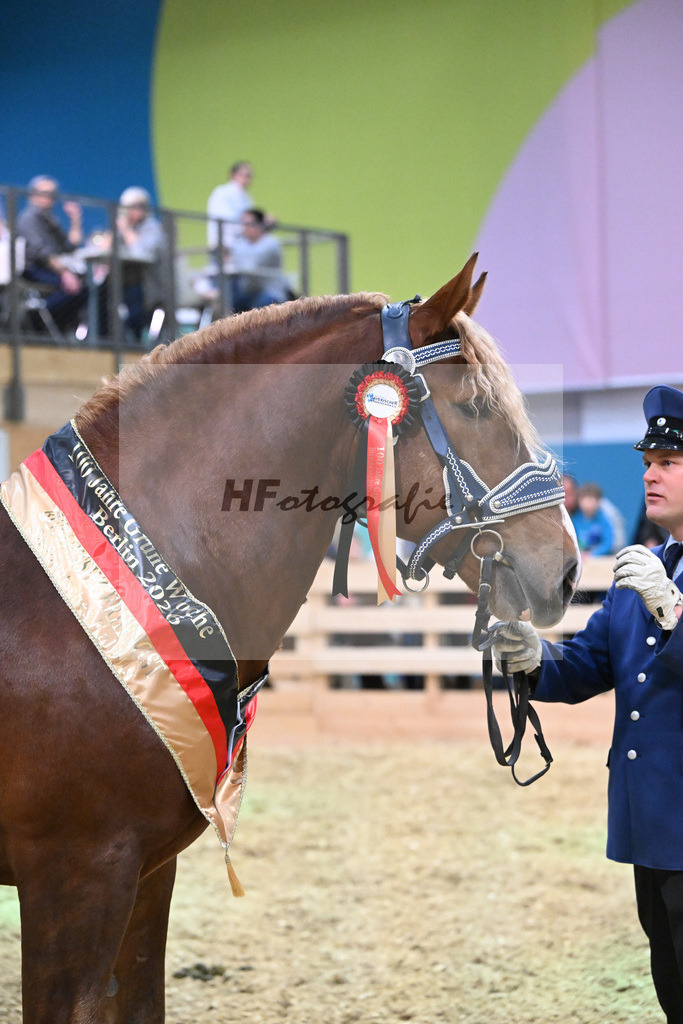 Kat-Nr. 7 Rivaldo v. Rivero_HLG Schwaiganger_1260642 | hf-fotografie - Realisiert mit Pictrs.com
