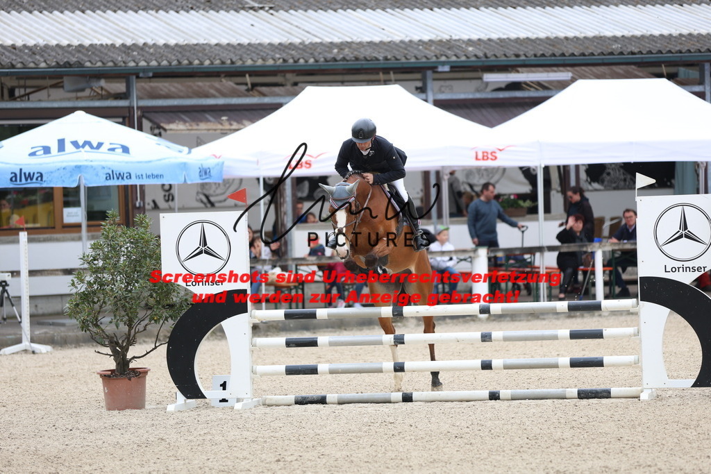 A40A4636 | lmwpictures - Realisiert mit Pictrs.com