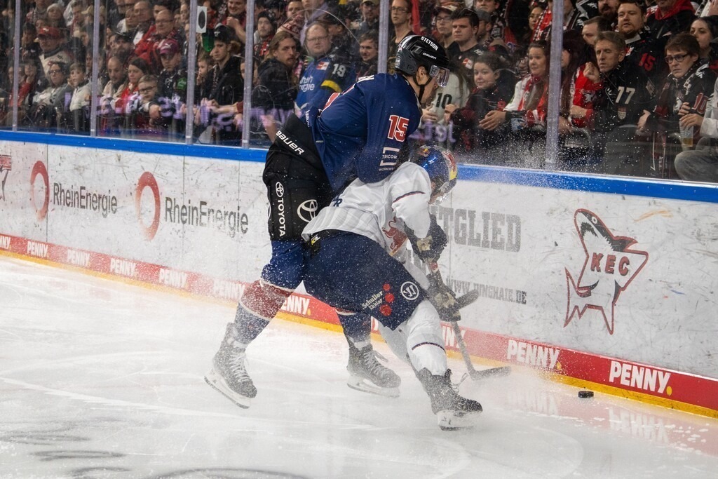 11.10.2024, DEL, Deutsche Eishockey Liga Saison 2024/25, 33. Spieltag: Kölner Haie gegen Red Bulls MünchenBild: Louis Marc Aubry (15, Köln) im Zweikampf hinter dem Tor | 11.10.2024, DEL, Deutsche Eishockey Liga Saison 2024/25, 33. Spieltag: Kölner Haie gegen Red Bulls MünchenBild: Louis Marc Aubry (15, Köln) im Zweikampf hinter dem Tor - Realisiert mit Pictrs.com