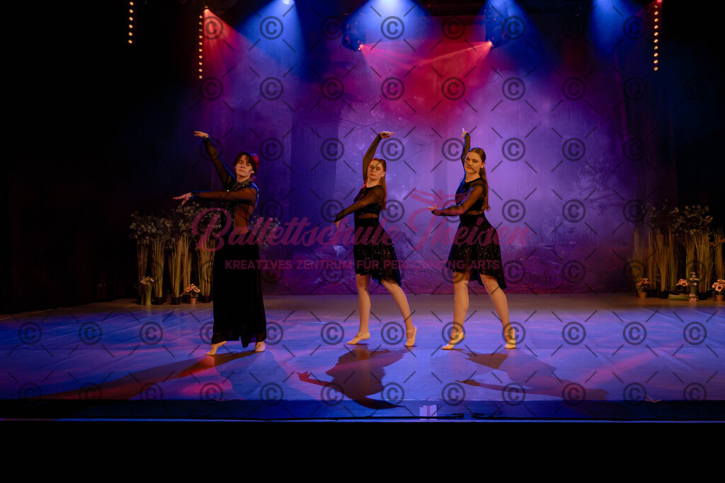Ballettaufführung-390 | Bildershop Lem'n Entertainment - Realisiert mit Pictrs.com