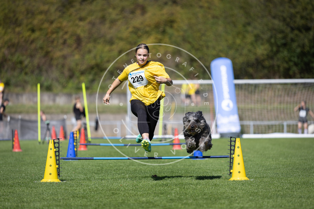 Pfotenfotografie_DV3A7798 | Hundefotografie, Tierfotograf, Pfotenfotografie, Fotoshooting Hund, Hunde Portrait, Hundesport, Hundeportraits, Heideshooting, Hunde, Sportfotograf, Hundefotograf, Turnierhundsport, THS,  - Realisiert mit Pictrs.com