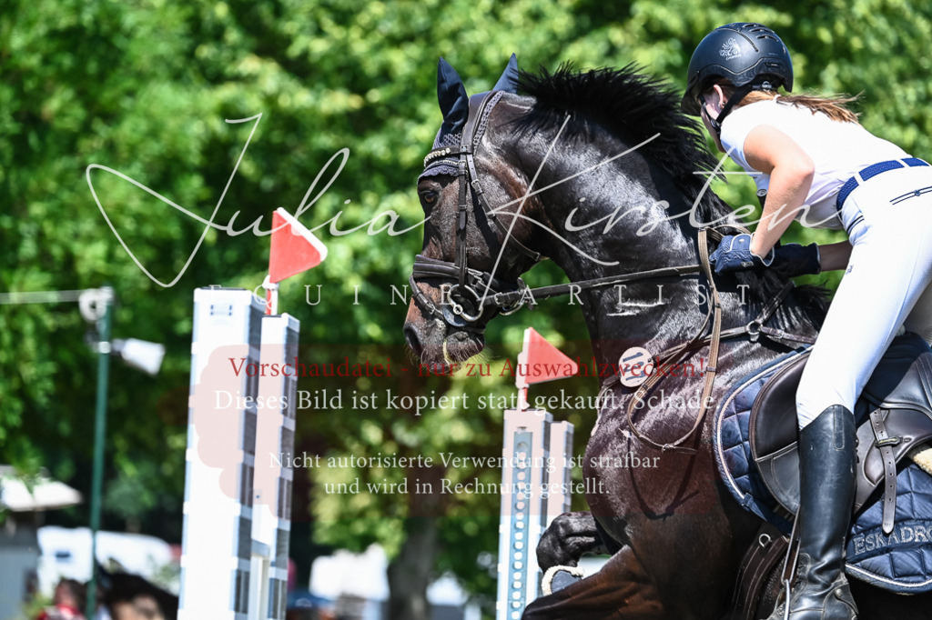 DSC_1029 | Pferde- und Turnierfotografie in Westsachsen. Pferdeportraits, Auftragszeichnungen und intuitive Kunst.