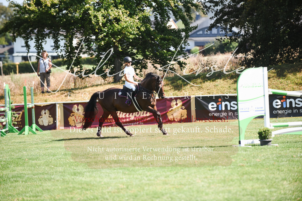 DSC_2718 | Pferde- und Turnierfotografie in Westsachsen. Pferdeportraits, Auftragszeichnungen und intuitive Kunst.