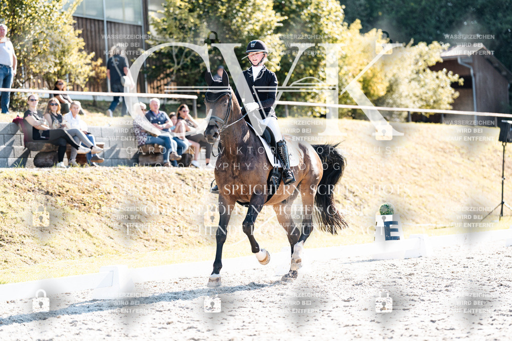 CK905979 | Turnierfotografie Pferdefotografie Trier Rheinland-Pfalz Pferdesport Reitsport Tierfotografie Sportfotografie Pferdevideo Pferdevideografie Equestrianvideography equestrianphotography  - Realisiert mit Pictrs.com