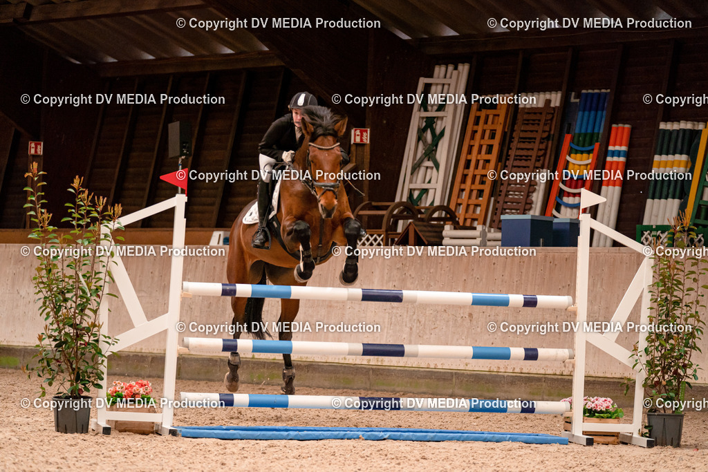 Springen Tag 1-564 | dv-media-shop - Realisiert mit Pictrs.com