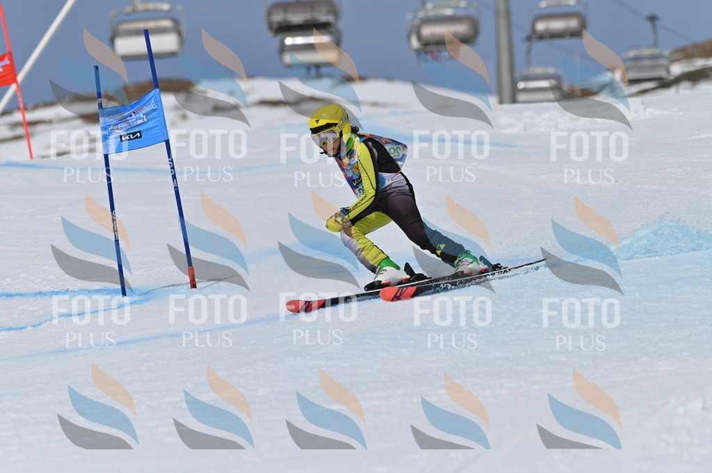 BGV_5964 | holidayphoto