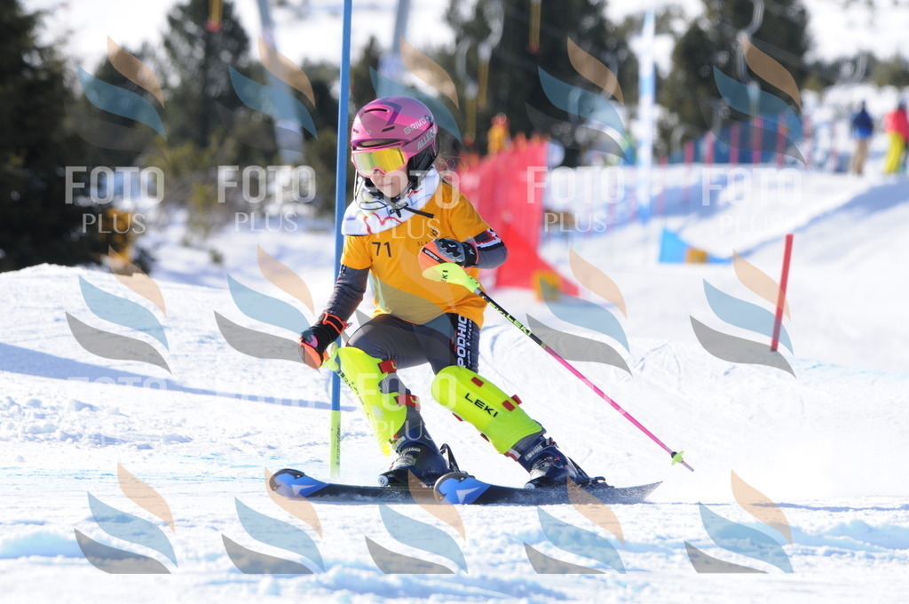 C6954 | holidayphoto