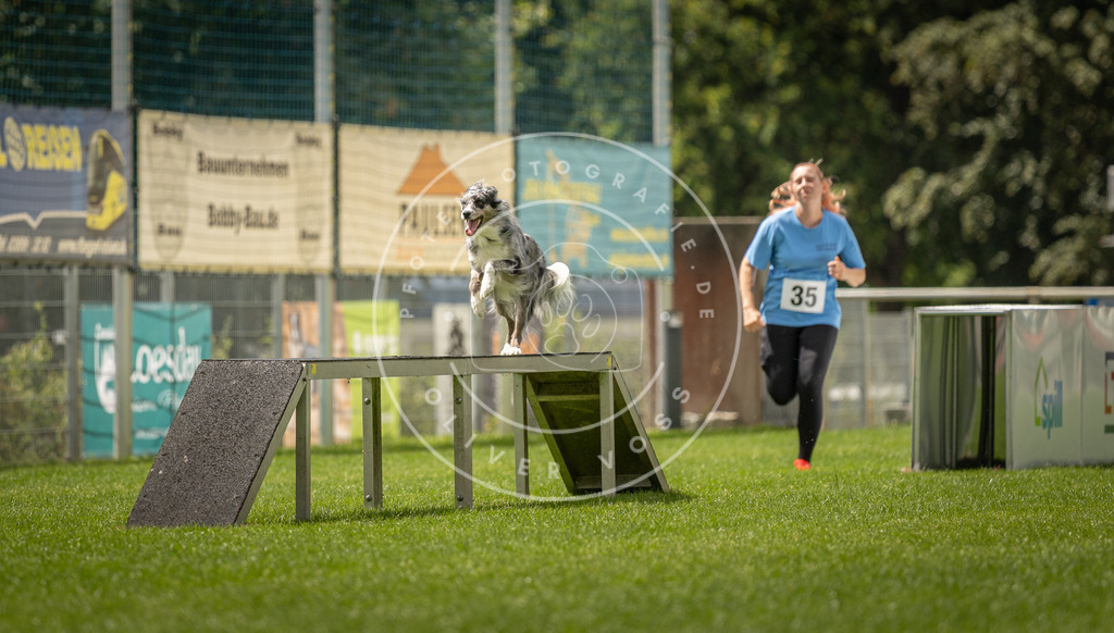 Pfotenfotografie_DV3A3439 | Hundefotografie, Tierfotograf, Pfotenfotografie, Fotoshooting Hund, Hunde Portrait, Hundesport, Hundeportraits, Heideshooting, Hunde, Sportfotograf, Hundefotograf, Turnierhundsport, THS,  - Realisiert mit Pictrs.com