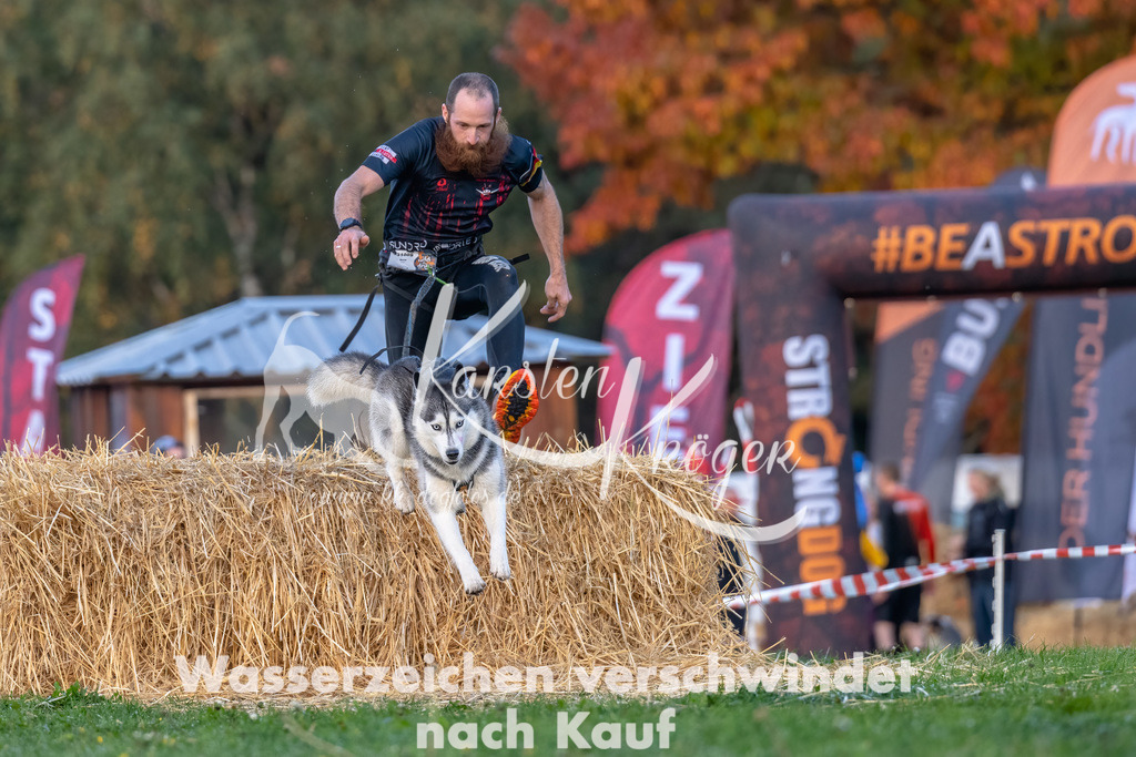0841_ZZ91146-Bearbeitet | kk-dogfotos