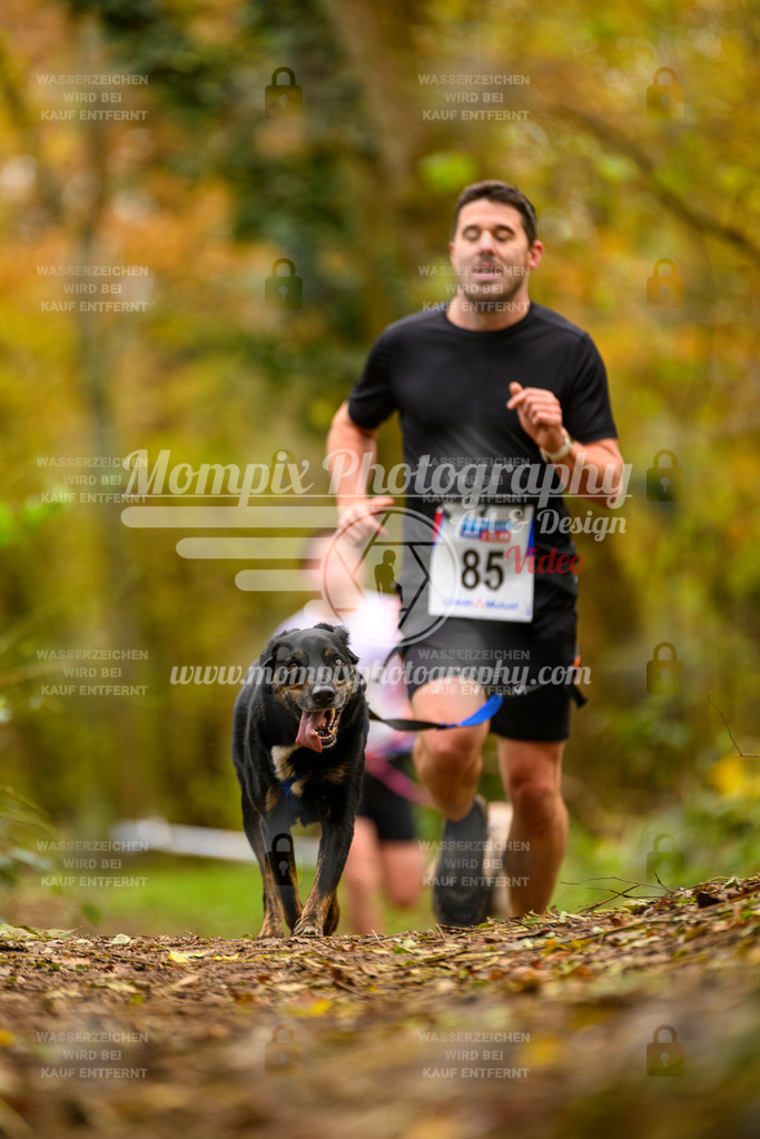 MompixPhotography_Bischwiller24_SA_Canicross-125 | PayLife