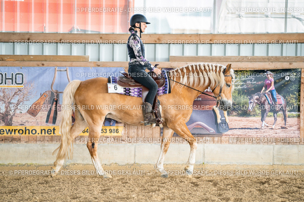 DSC08127 | Pferdegrafie