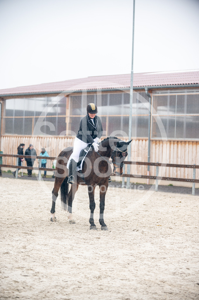 DSC_5902 | sattelsport - Realisiert mit Pictrs.com