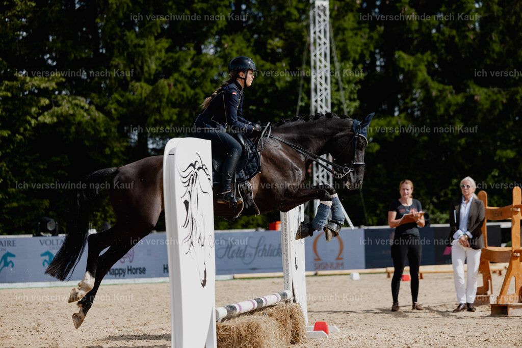 Leonie24_FHC2025-45 | working equitationturnier fotograf videograf stoibphotography marixx film working equitation deutschland reitsport turnierfotografie eventfotografie equestrian events