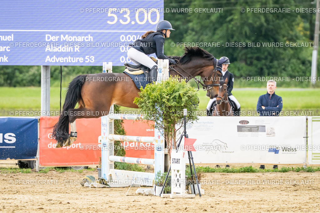 DSC06718 | Pferdegrafie