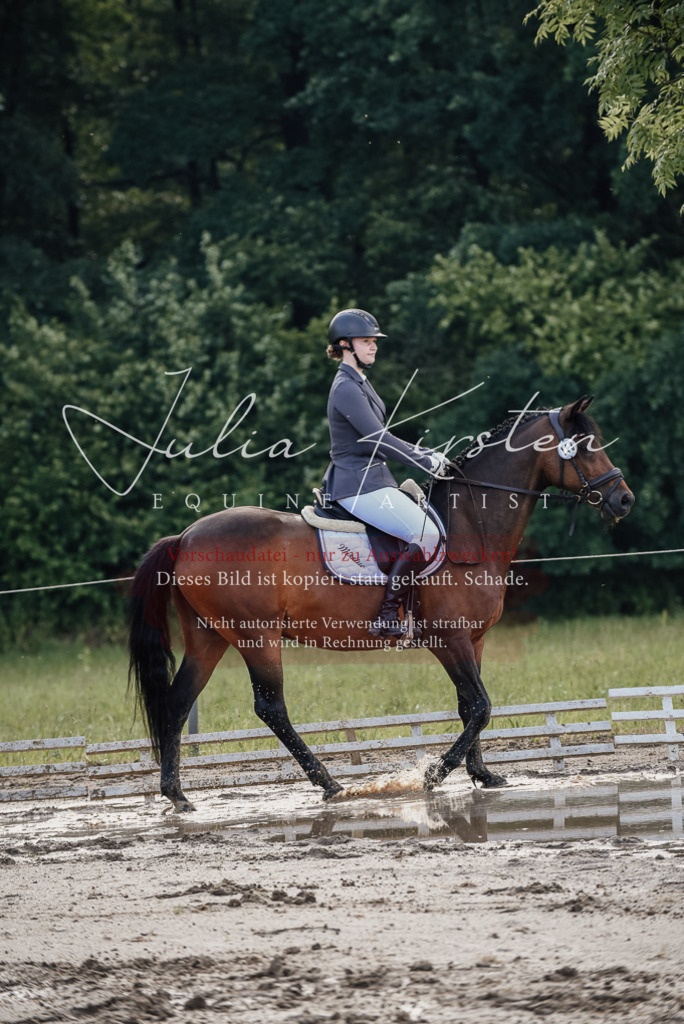 DSC_8267 | Pferde- und Turnierfotografie in Westsachsen. Pferdeportraits, Auftragszeichnungen und intuitive Kunst.