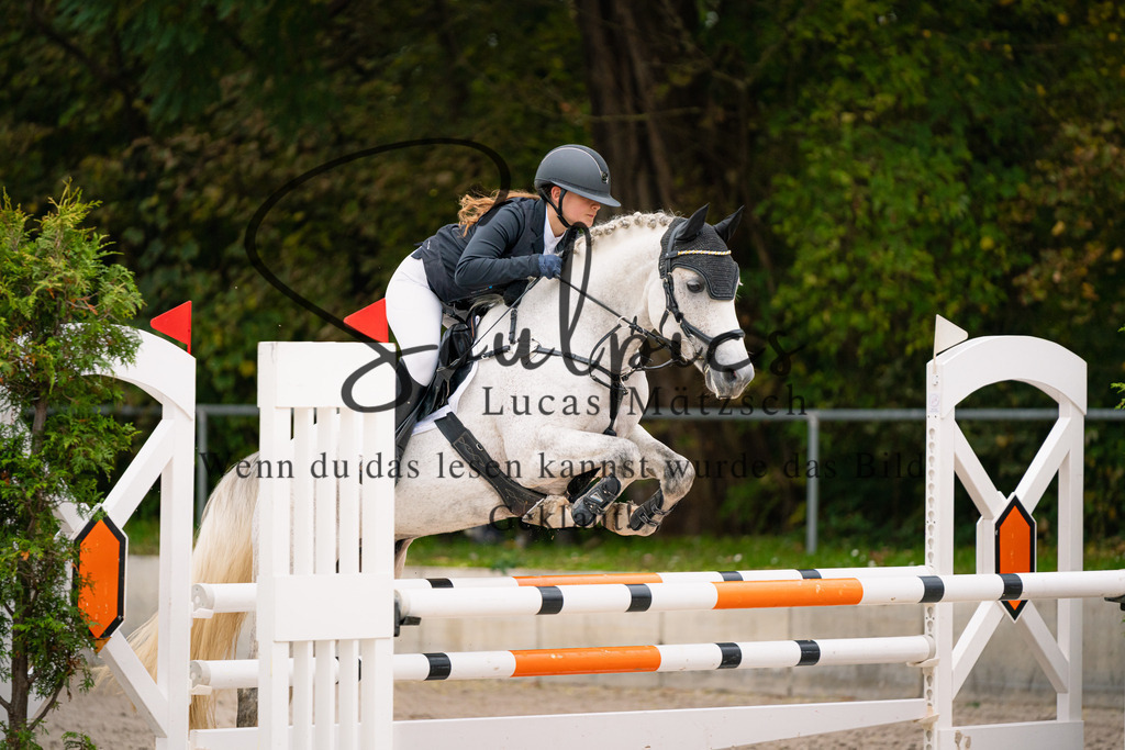 A7V00004 | Pferdefotograf