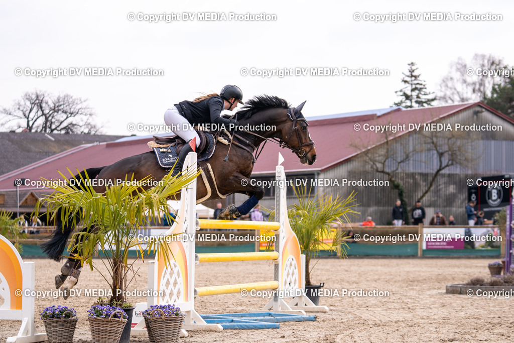 Kranichstein Tag 2-1814 | dv-media-shop - Realisiert mit Pictrs.com