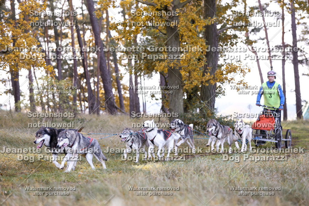 Dog Paparazzi - Elsholz 25 -44 | Dog Paparazzi Jeanette Grottendiek Fotografie & Videografie - Realisiert mit Pictrs.com