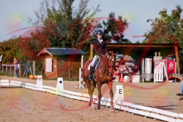 2026_10_03_Siefer-Hof_114129_Z81_84550597 | Professionelle Reitsport-, Turnier- und Eventfotografie von Robert Broda. Galerien mit ausgewählten und bearbeiteten Bildern direkt online ansehen und bestellen.