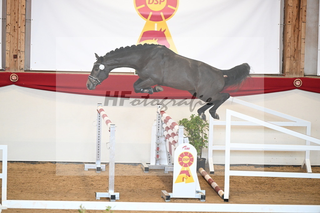 Kat.-Nr. 11 v. Cicero Z_Schill_2251067 | hf-fotografie - Realizzato con Pictrs.com