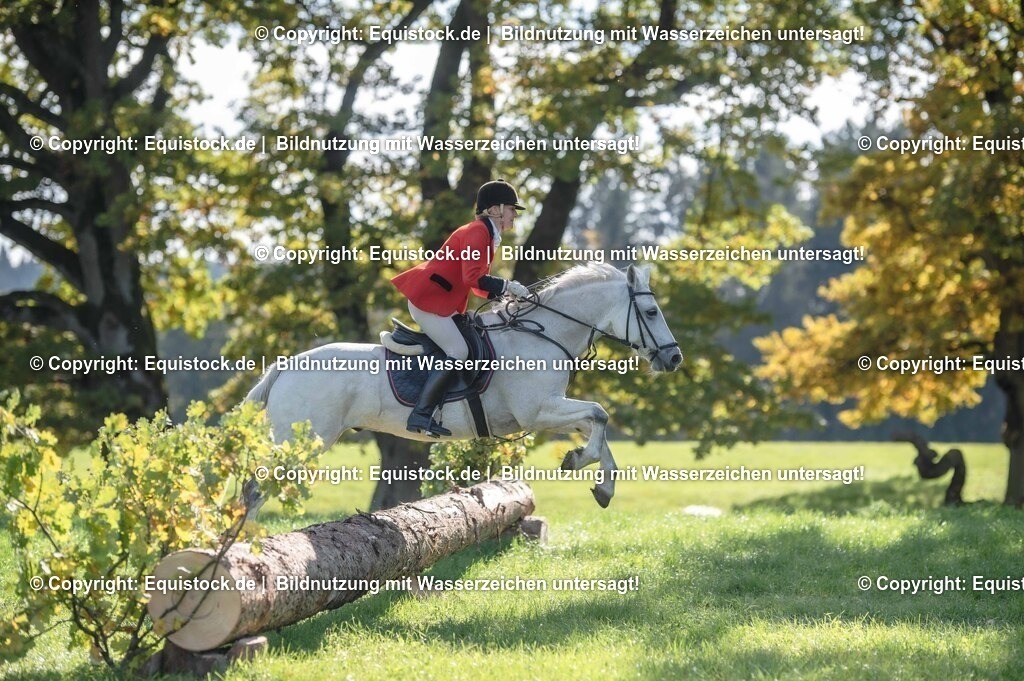 20251011_Jagd-Marbach_0411 | Foto: Thomas Hartig