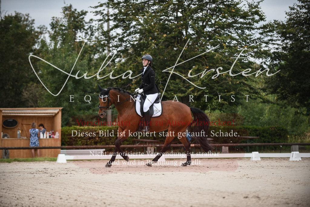 DSC_7985 | Pferde- und Turnierfotografie in Westsachsen. Pferdeportraits, Auftragszeichnungen und intuitive Kunst.