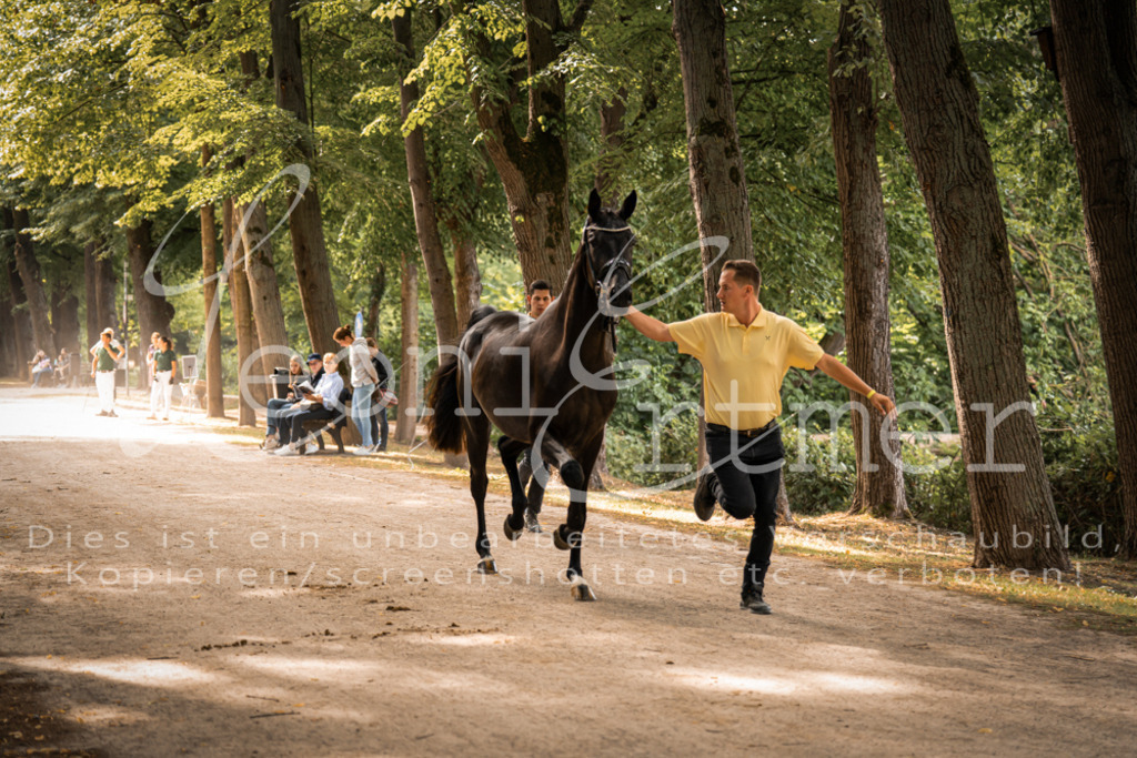 FrPfM00060 | Leoni Ertmer Photography - Realisiert mit Pictrs.com