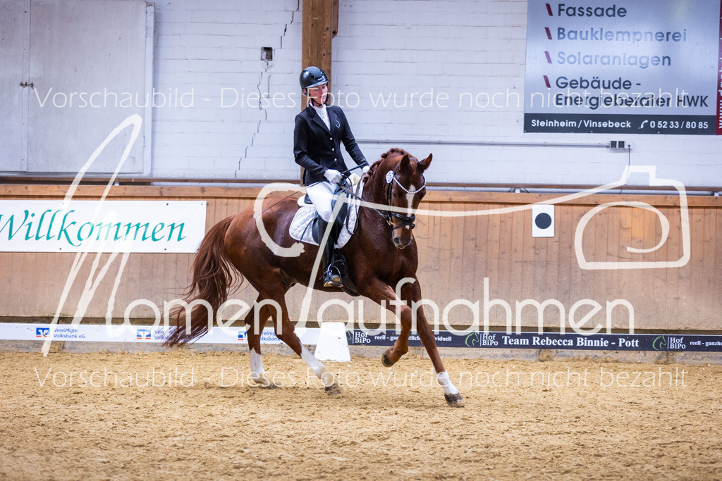 Sth-A-Dre-2St-159 | MomenTaufnahmen Pferdesportfotos