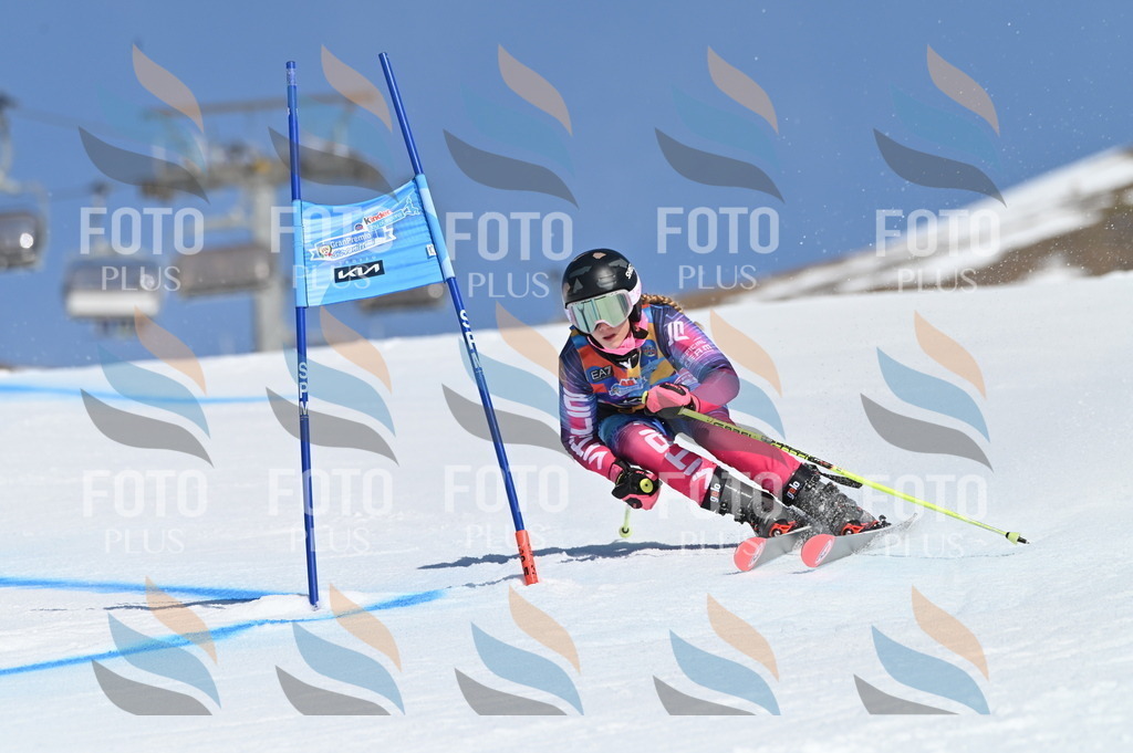 BGV_8553 | holidayphoto