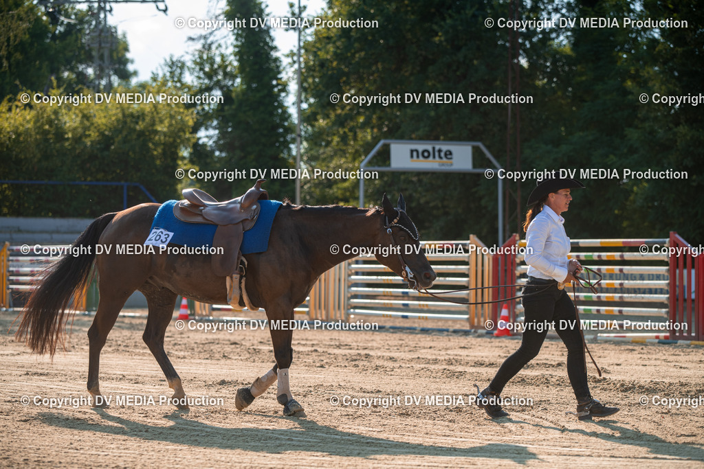 ZS2_8960 | dv-media-shop - Realisiert mit Pictrs.com