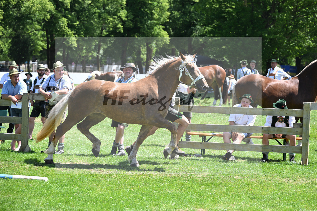 Kat-Nr. 52 Halina v. Vilstal_Hoeck_18250915 | hf-fotografie - Realisiert mit Pictrs.com