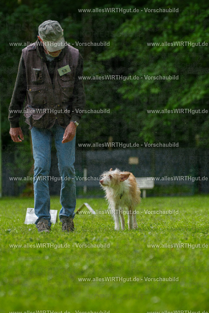 @allesWIRTHgut_Tierfotografie - www.allesWIRTHgut.de - 7R501341 | Professionelle Tierfotografie in Mönchengladbach von Daniel Wirth (allesWIRTHgut). Liebevolle & natürliche Bilder von Hunden & Katzen für unvergessliche Erinnerungen.