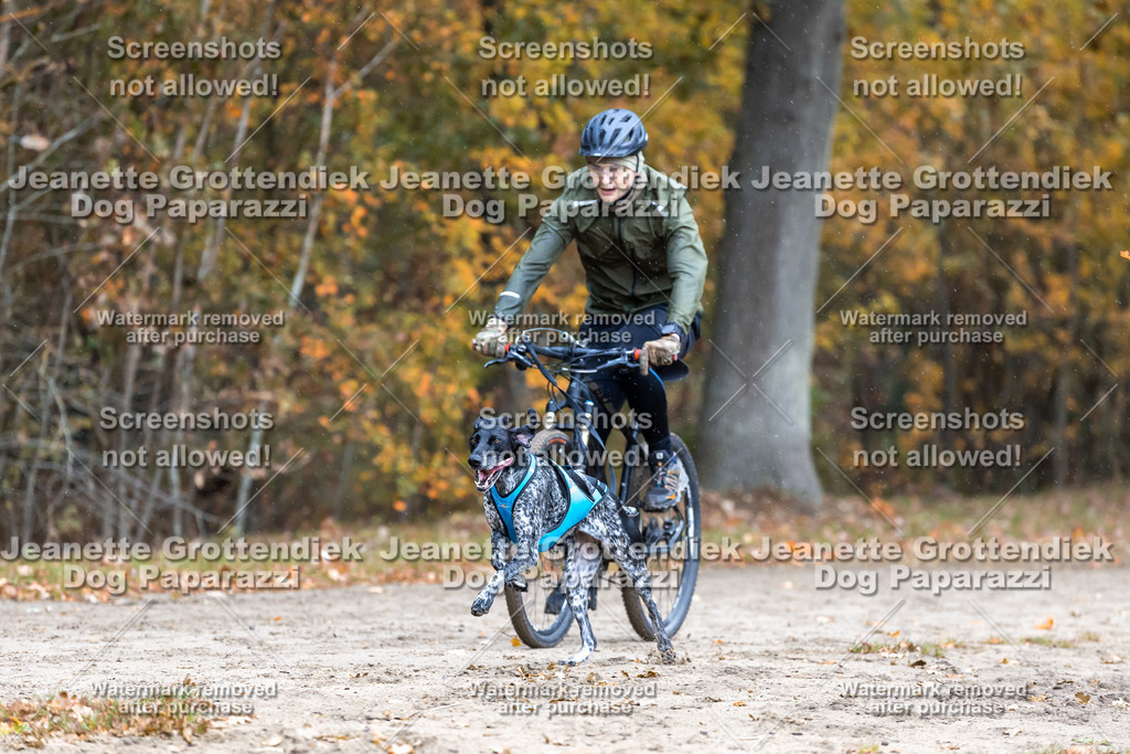 Dog Paparazzi - SD CaniX Championship 2025-197 | Dog Paparazzi Jeanette Grottendiek Fotografie & Videografie - Realisiert mit Pictrs.com