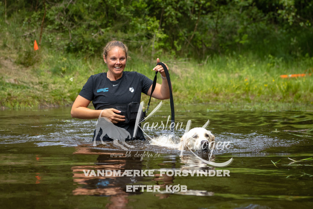 1116DKK994637 | kk-dogfotos