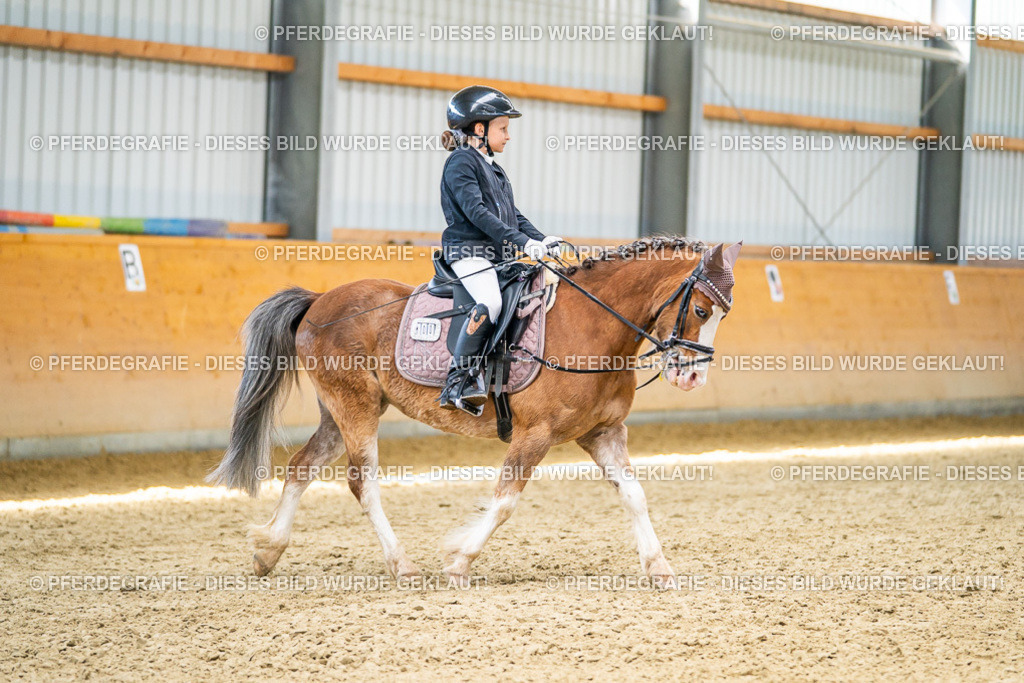 DSC02853 | Pferdegrafie