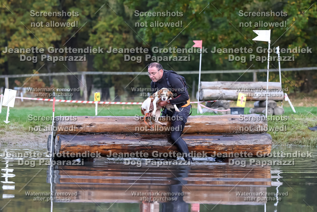 Dog Paparazzi - Strongdog 10-25-6817 | Dog Paparazzi Jeanette Grottendiek Fotografie & Videografie - Realisiert mit Pictrs.com