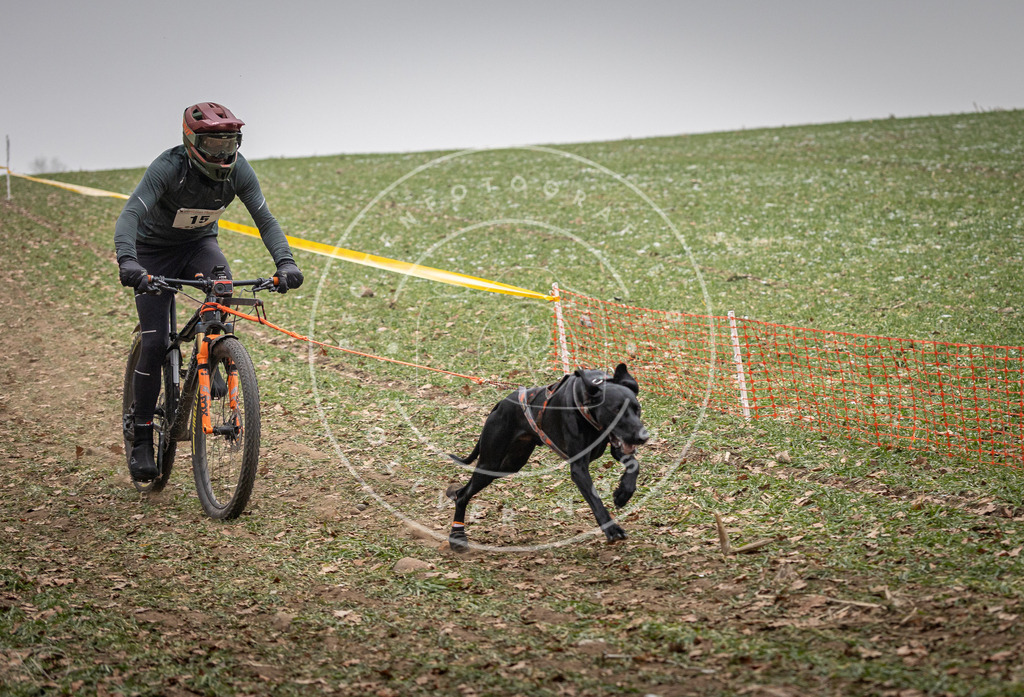 Pfotenfotografie_DV3A2417 | Hundefotografie, Tierfotograf, Pfotenfotografie, Fotoshooting Hund, Hunde Portrait, Hundesport, Hundeportraits, Heideshooting, Hunde, Sportfotograf, Hundefotograf, Turnierhundsport, THS,  - Realisiert mit Pictrs.com
