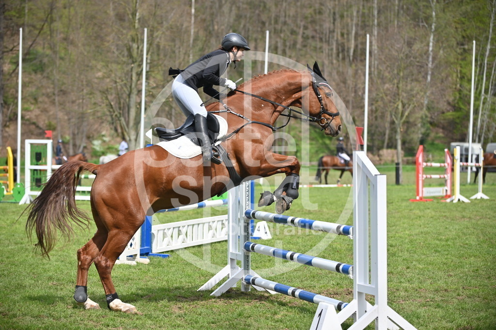 DSC_1804 | sattelsport - Realisiert mit Pictrs.com