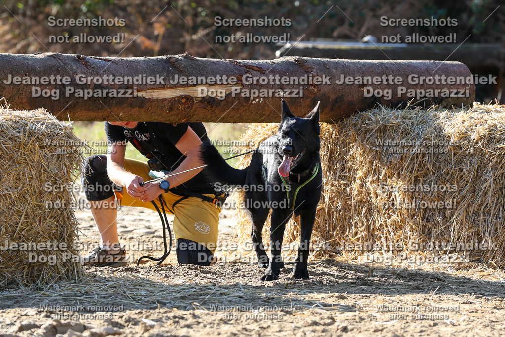 Dog Paparazzi - Strongdog 10-25-6029 | Dog Paparazzi Jeanette Grottendiek Fotografie & Videografie - Realisiert mit Pictrs.com