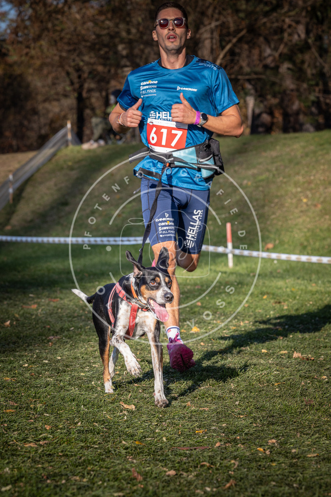 CaniXpix_0L8A8872 | Hundefotografie, Tierfotograf, Pfotenfotografie, Fotoshooting Hund, Hunde Portrait, Hundesport, Hundeportraits, Heideshooting, Hunde, Sportfotograf, Hundefotograf, Turnierhundsport, THS,  - Realisiert mit Pictrs.com