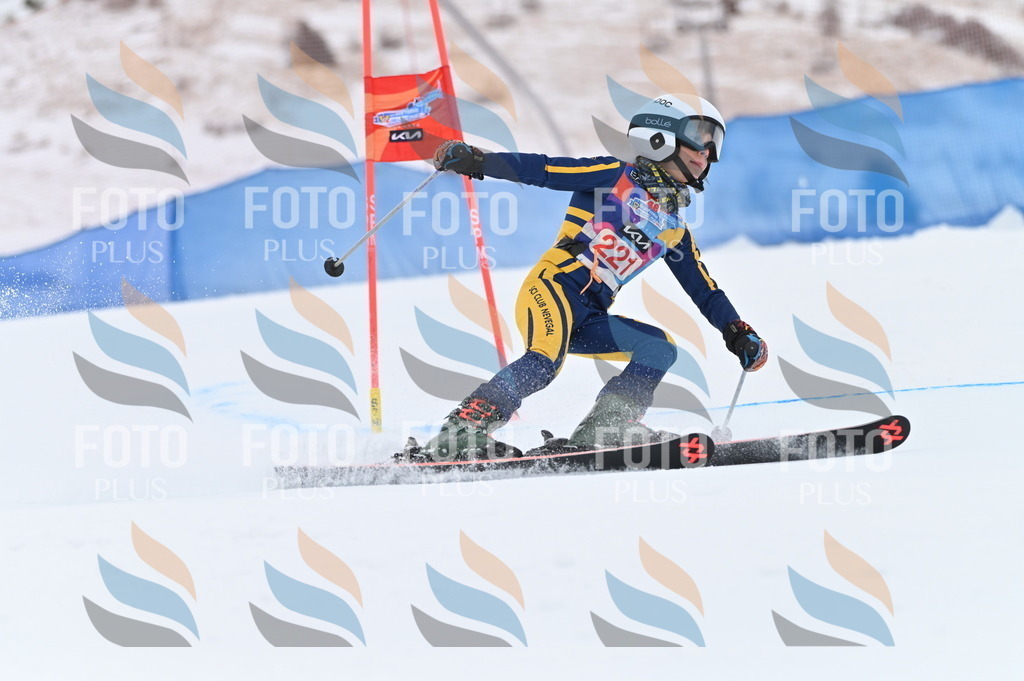 BGV_3107 | holidayphoto