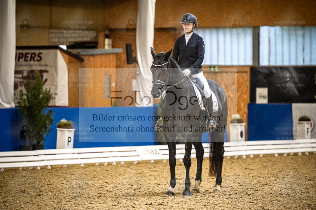 DOS_0458 | Entdecke hochwertige Reitturnierfotos von Foto Oger. Professionell, emotional und authentisch – jetzt Lieblingsmomente im Shop bestellen. - Realisiert mit Pictrs.com