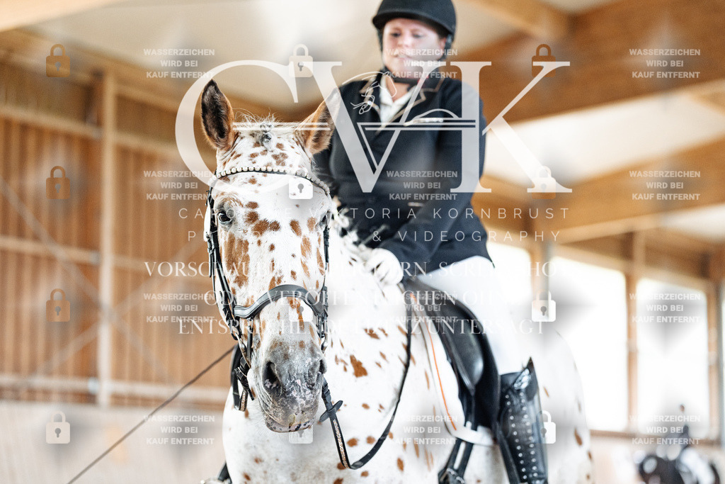 CK901241 | Turnierfotografie Pferdefotografie Trier Rheinland-Pfalz Pferdesport Reitsport Tierfotografie Sportfotografie Pferdevideo Pferdevideografie Equestrianvideography equestrianphotography  - Realisiert mit Pictrs.com
