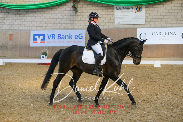 IMG_2628 | Turnierfotos kaufen im Webshop von Daniel Kuhl Photography – entdecke professionelle Reitsportfotos aus Turnieren & Events. Hochwertige Turnierbilder online bestellen & sichern. Jetzt Fotos von Reitsportturnieren kaufen!