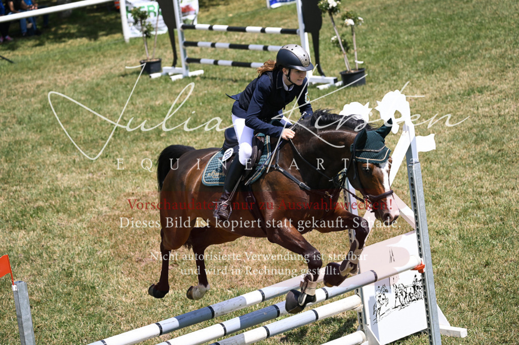 DSC_9725 | Pferde- und Turnierfotografie in Westsachsen. Pferdeportraits, Auftragszeichnungen und intuitive Kunst.