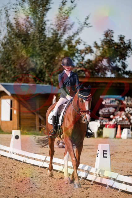 2026_10_03_Siefer-Hof_123653_Z63_54477647 | Professionelle Reitsport-, Turnier- und Eventfotografie von Robert Broda. Galerien mit ausgewählten und bearbeiteten Bildern direkt online ansehen und bestellen.